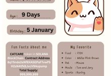$CATCARE All About ME!