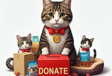 Monthly donations or one-off gifts for cat