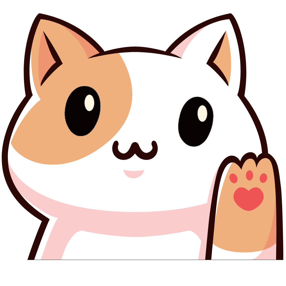 CATCARE Token in PumpFun Launch! To Moon!