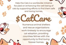 Help the Cats is a worldwide initiative