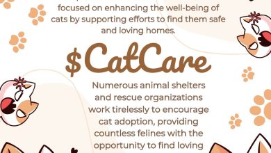 Help the Cats is a worldwide initiative