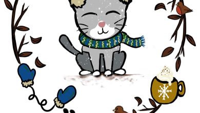 Keeping Cosy this Winter at Holiday Kitty Cat Care