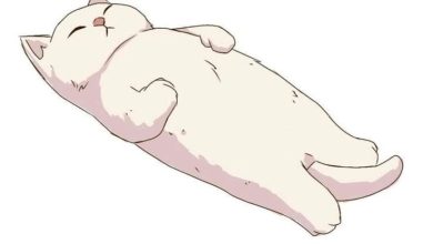 I Wish I Was a Cat