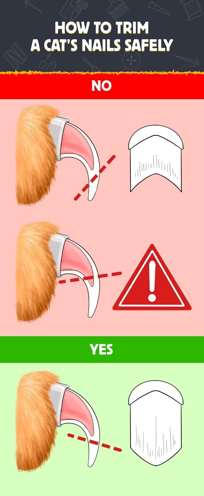 How to Trim a Cat’s Nails Safely